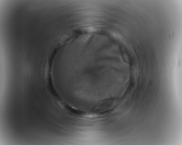 X0000088140760200706042009