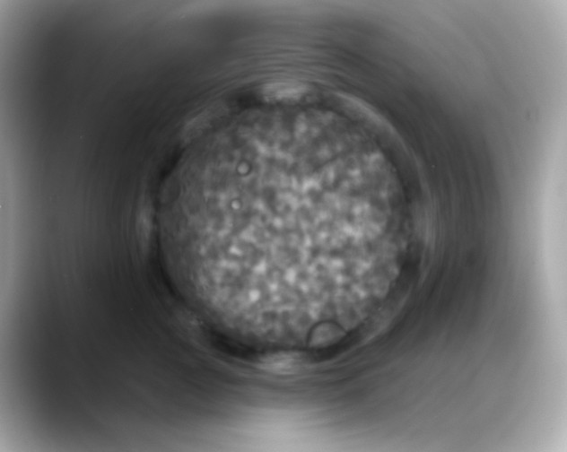 X0000088140761200706042009