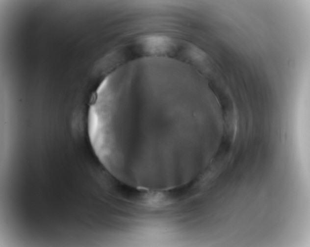 X0000088140762200706042009