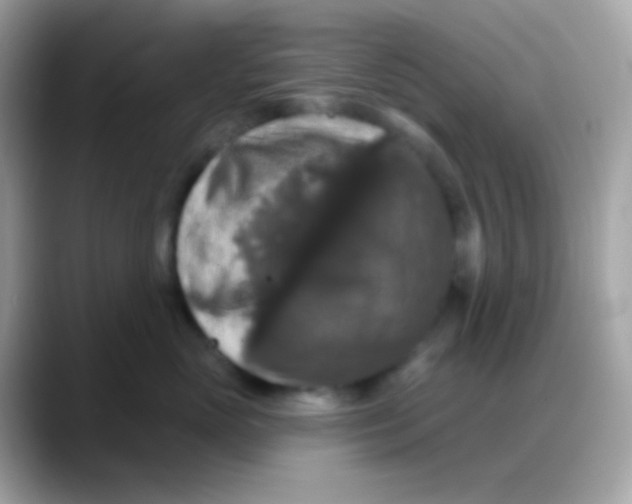 X0000088140765200706042009