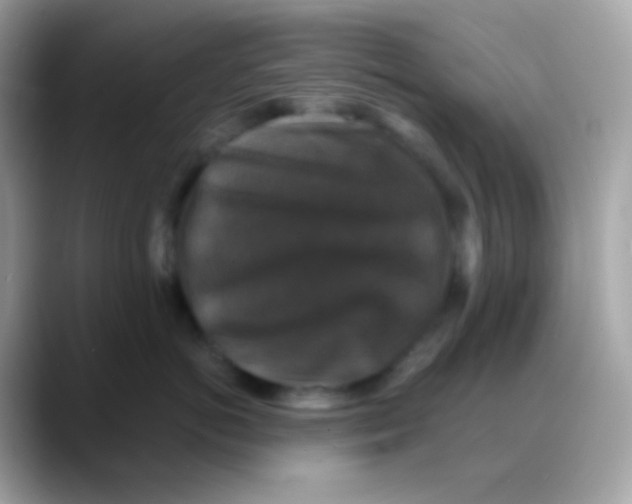 X0000088140766200706042009