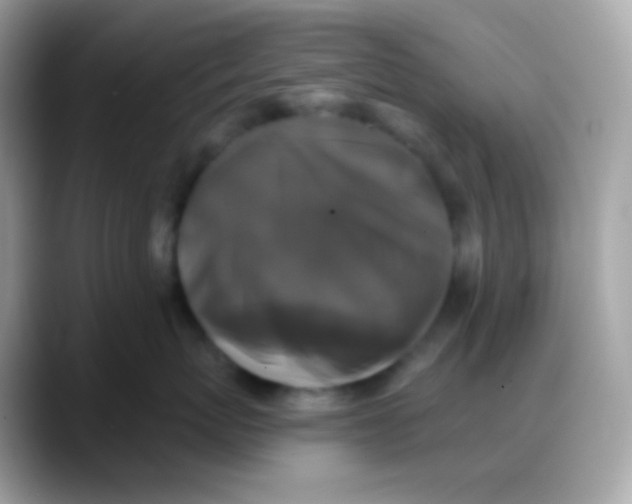 X0000088140767200706042009