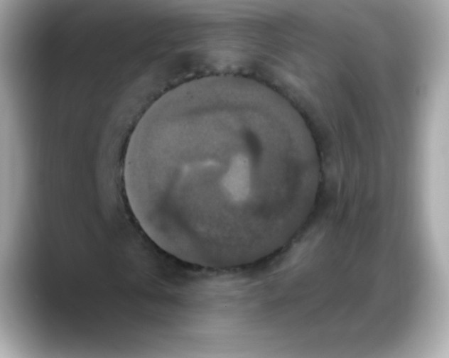 X0000088140769200706042008