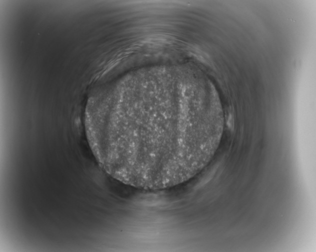 X0000088140771200706042008