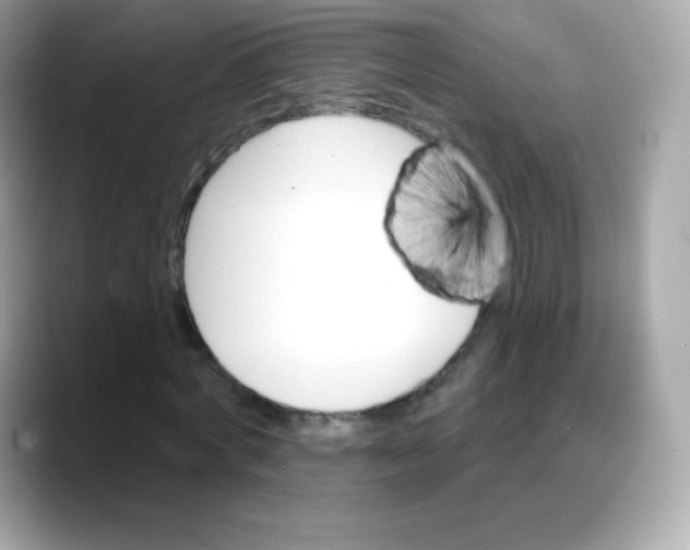 X0000088140772200706042008