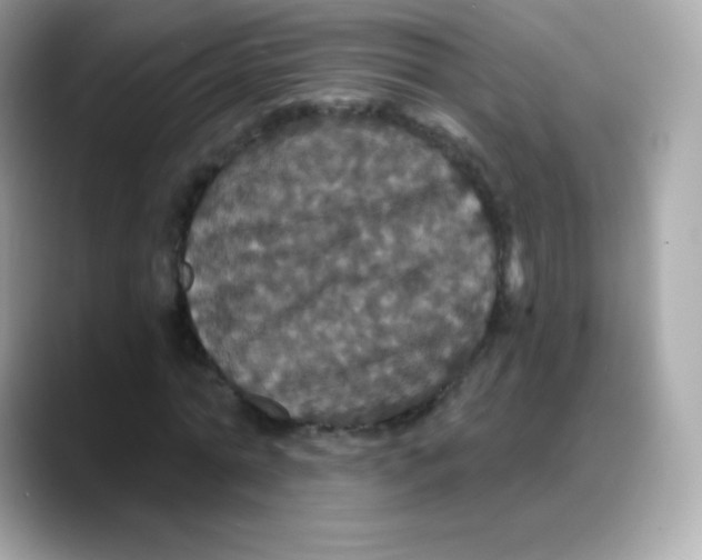 X0000088140774200706042008