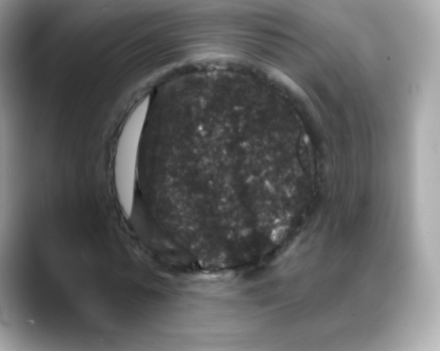 X0000088140775200706042008