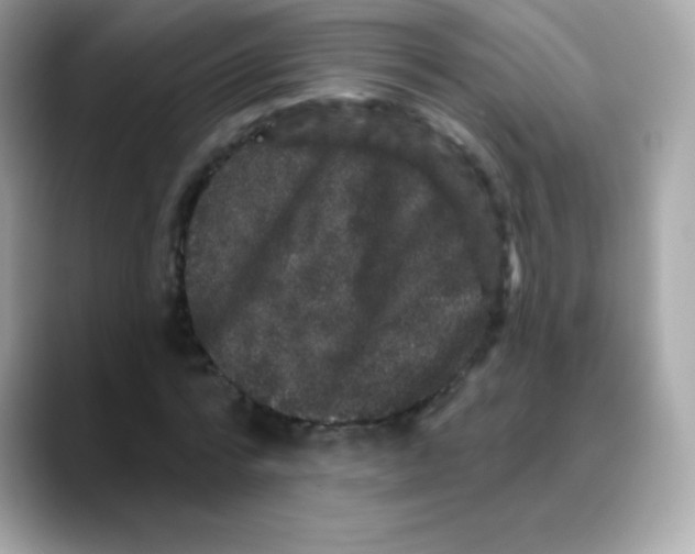 X0000088140776200706042008