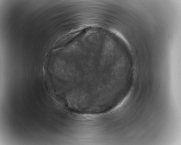 X0000088140777200706042008