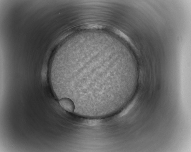 X0000088140778200706042008