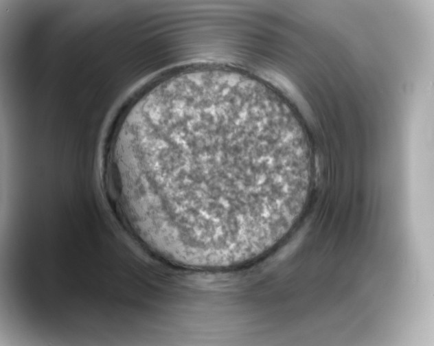 X0000088140780200706042008