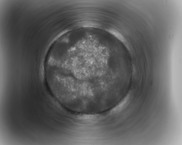 X0000088140782200706042008