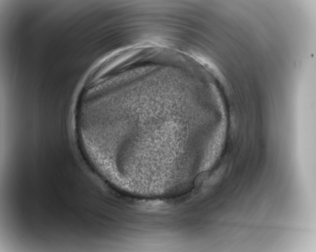 X0000088140784200706042008