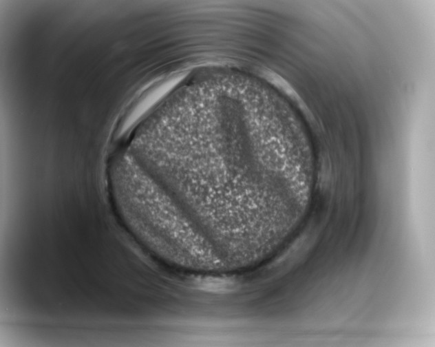 X0000088140786200706042008