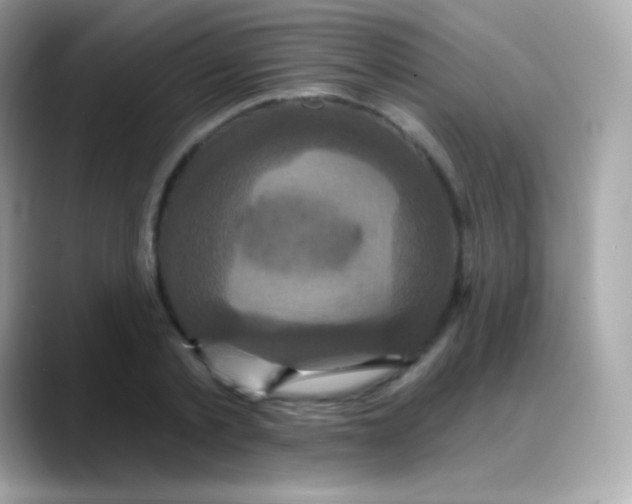 X0000088140789200706042008