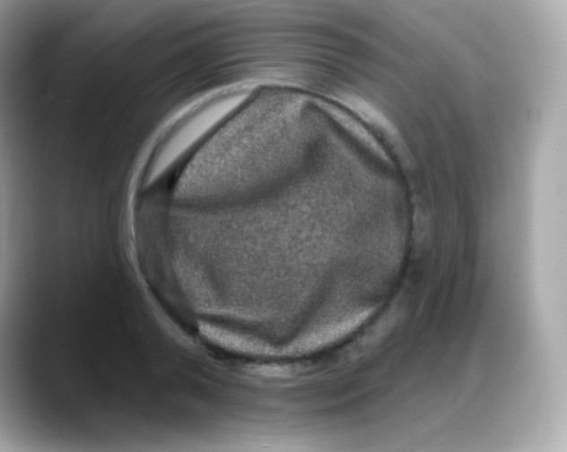 X0000088140792200706042008