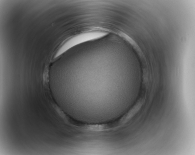 X0000088140793200706042008