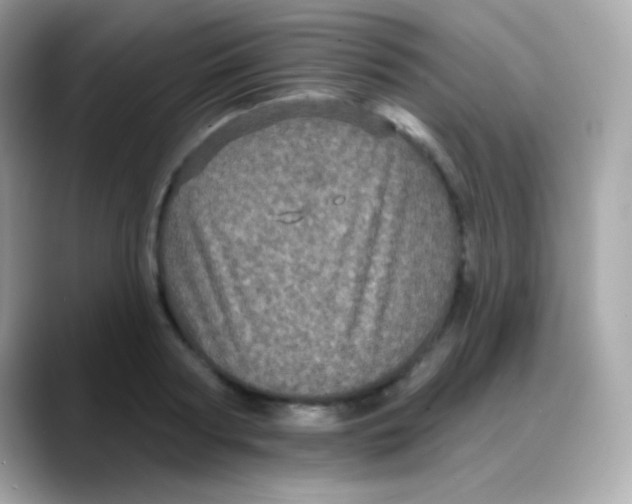 X0000088140794200706042008