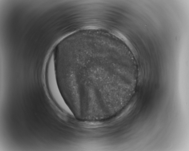 X0000088140795200706042008