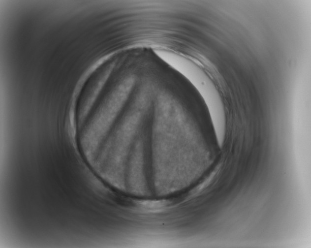 X0000088140796200706042008