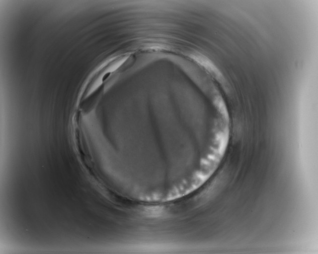 X0000088140798200706042008