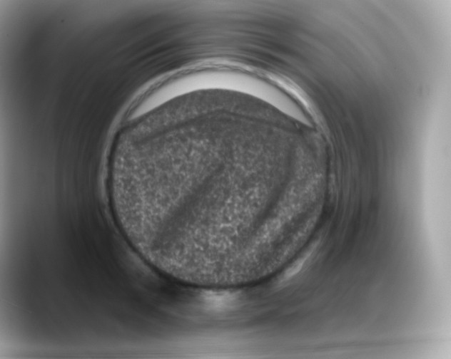 X0000088140799200706042008