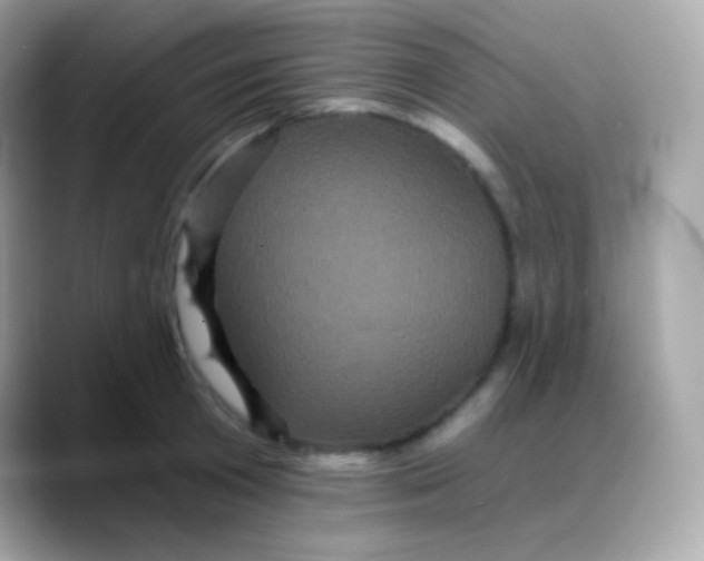 X0000088140801200706042008