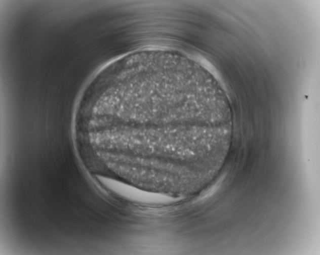 X0000088140803200706042008