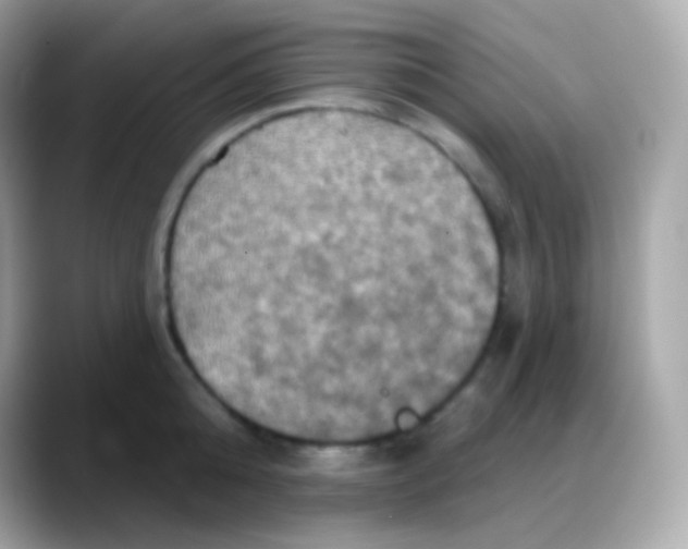 X0000088140808200706042008