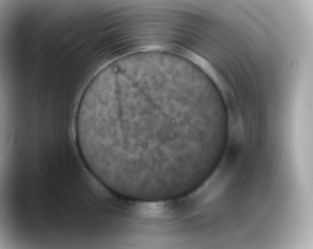 X0000088140810200706042008