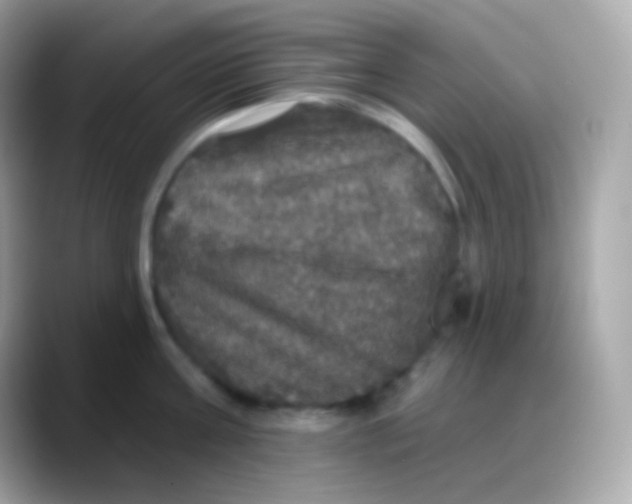 X0000088140811200706042008