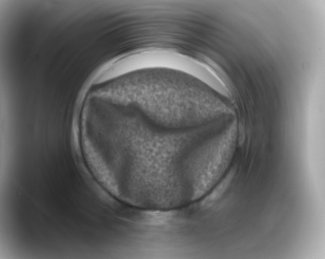 X0000088140812200706042008