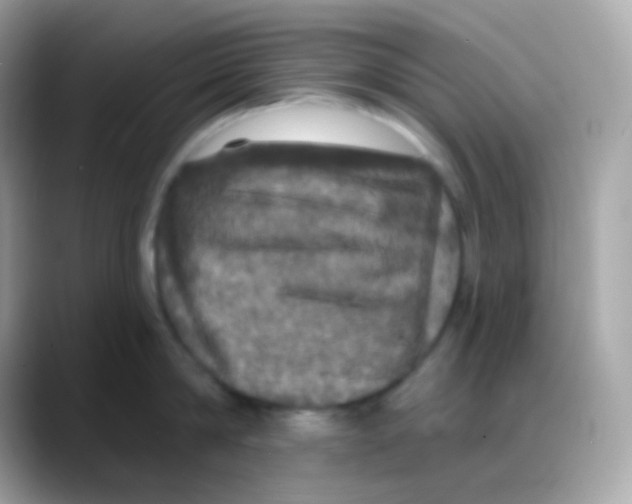 X0000088140814200706042008