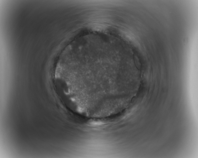 X0000088140817200706042007