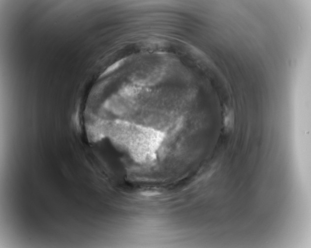 X0000088140819200706042007