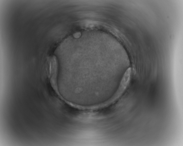 X0000088140820200706042007