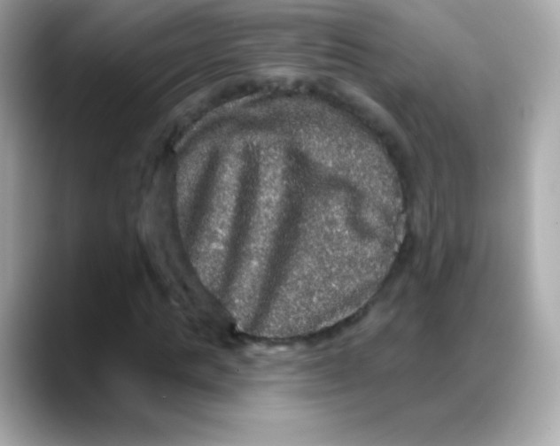 X0000088140821200706042007