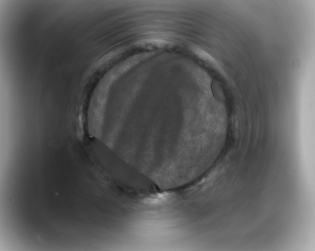 X0000088140822200706042007