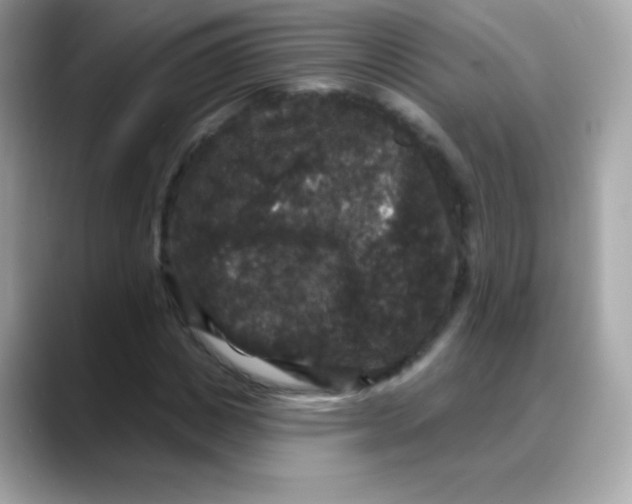 X0000088140825200706042007