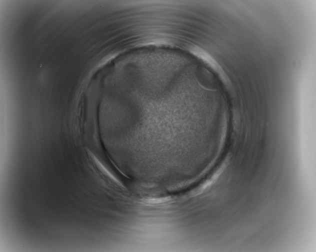 X0000088140826200706042007