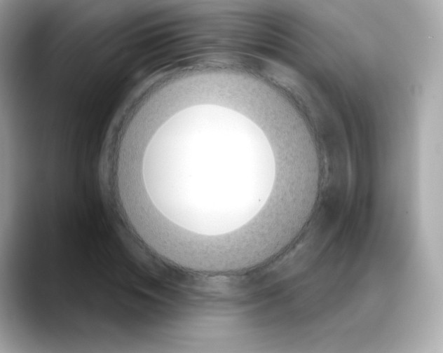 X0000088140828200706042007