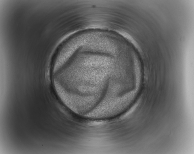 X0000088140830200706042007