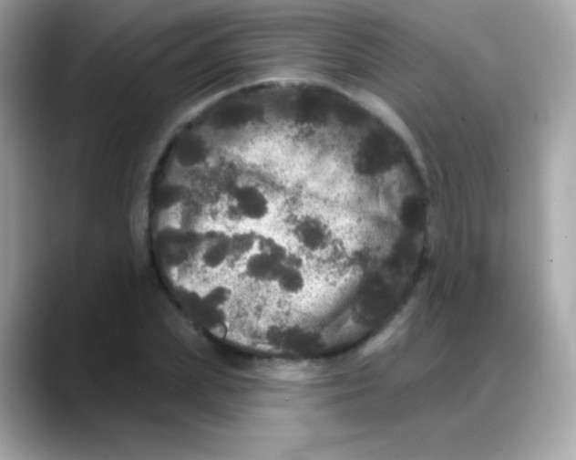 X0000088140831200706042007