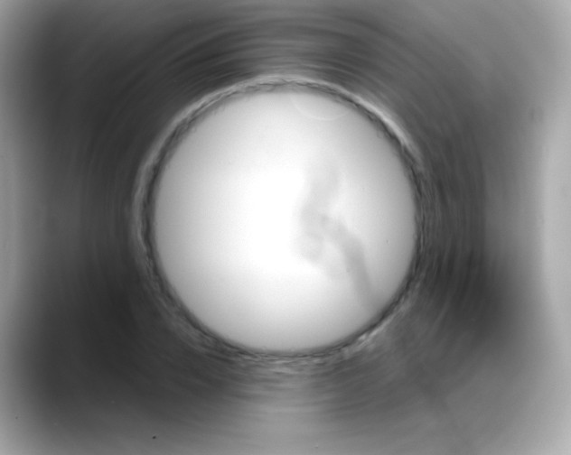 X0000088140832200706042007