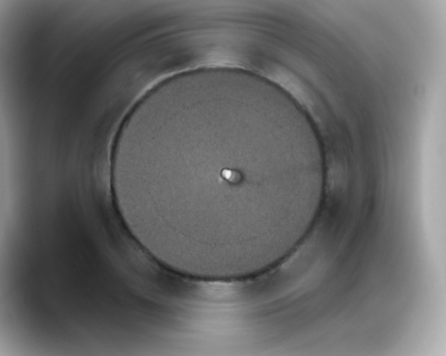 X0000088140836200706042007