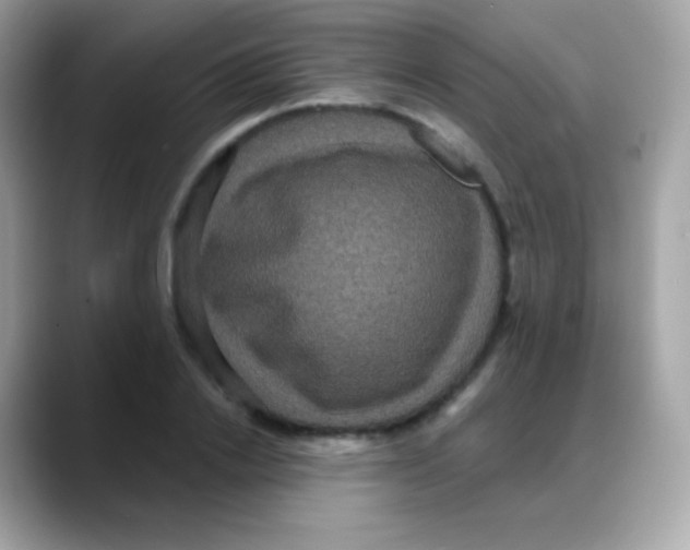 X0000088140838200706042007