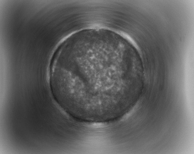 X0000088140839200706042007