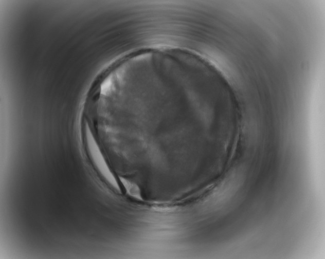 X0000088140840200706042007