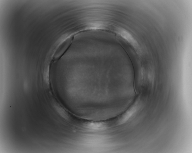 X0000088140842200706042007