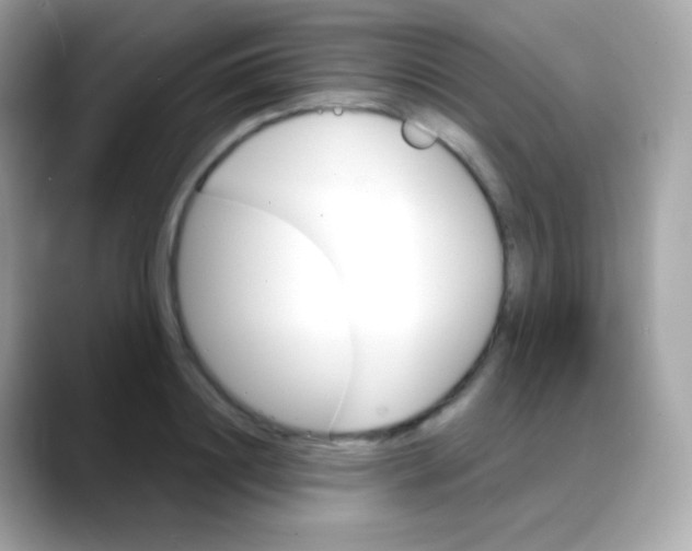 X0000088140844200706042007